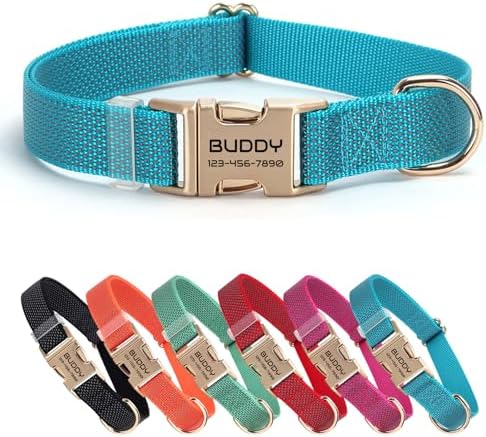 Personalized Reflective Nylon Dog Collar with Name, Blue