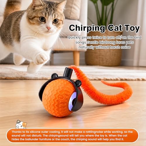ZUAMEGUCat Toys for Indoor Cats - Interactive Rolling Ball