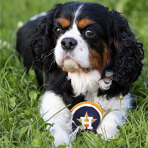 Pets First MLB Houston Astros Tennis Balls for Dogs & Cats - 2 Piece Set with Team Logo in Vibrant Team Color