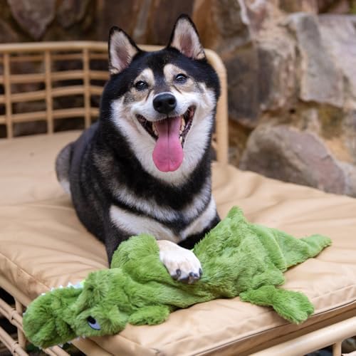 Best Pet Supplies 2-in-1 Stuffless Squeaky Dog Toy - Alligator, Medium | No-Stuffing, 2 built-in squeakers, No Mess, Soft, Holds a Plastic Bottle for Added play, Perfect for Moderate chewers