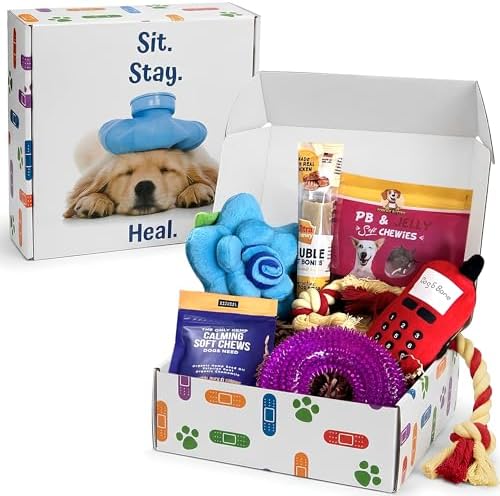 Get Well Soon Dog Gifts, Dog Care Package, Puppy Gift Basket with 3 Dog Treats and 4 Toys, Adorable Puppy Gift Basket, Pet Care Package