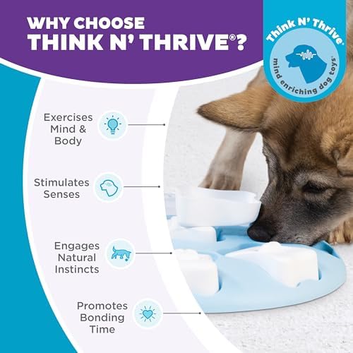 Outward Hound Nina Ottosson Puppy Tornado Dog Puzzle Interactive Treat Puzzle Dog Enrichment Dog Toy for Puppies, Level 2 Intermediate, Pink