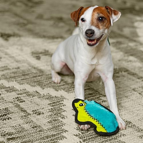 Outward Hound Durablez Minis Tough Chew Plush Squeaky Dog Toy, Hedgehog, 7"