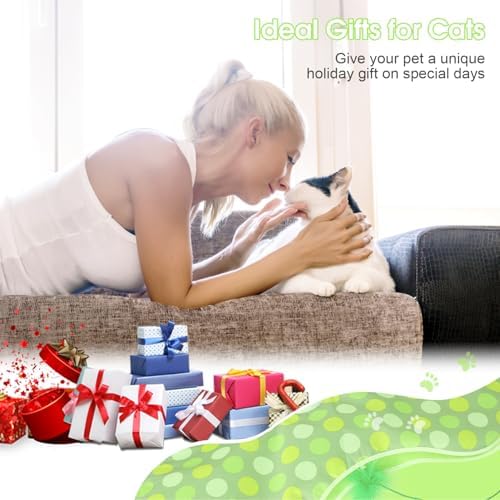 Interactive Cat Toys for Indoor Cats & Kittens - Automatic Hide & Seek Toy with Feather Tail,Squeaky Mouse Sounds, Motion Activated,USB Rechargeable Boredom Relief & Self Play Enrichment Game