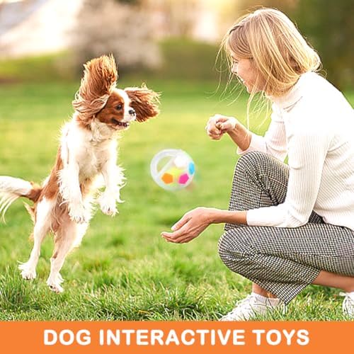 Dog Calming Ball with Handle - Dog Soccer Ball Toy,Floating,White