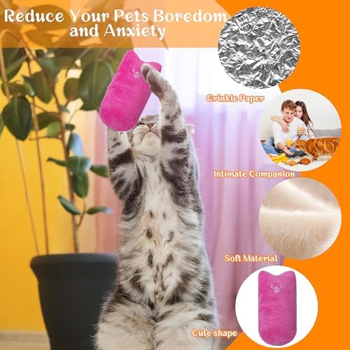 Seyezo Cat Toys for Indoor Cats, Multi Color, 5 Pack