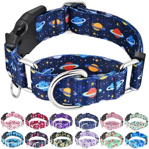 Martingale Dog Collars with Buckle No Slip Training Boy Dog Collar for Medium Dogs (Blue Space, Medium)