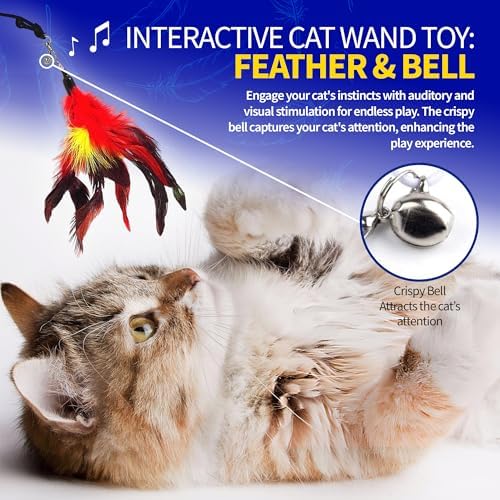 Pet Fit For Life Cat Feather Interactive Wand Toy Set, Red & Purple - 2pack