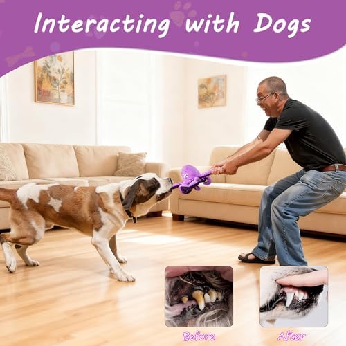 Squeaky Dog Toys, Stuffed Large Dog Toys to Keep Them Busy, Interactive Plush Chew Toys with Crinkle Paper, Tough Pet Animal Toys for Small Medium Large (2pack)