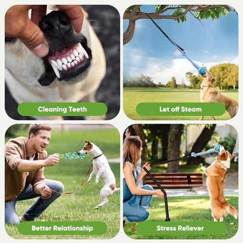 Dog Bungee Toy 5.2ft for Medium Dogs,Interactive Dog Tug of War Toys Set, Bungee Tether Set with Rope & Ball for Hanging on Trees, Doors,Not for Aggressive Chewers