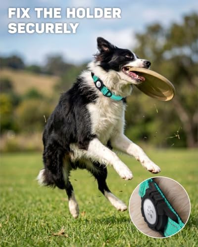 Padded Dog Collar with Waterproof Holder Compatible with Airtag