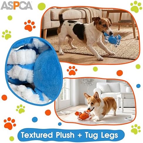 ASPCA 2 Pack Plush Dog Toy with Squeaker for Small & Medium Dogs, Soft Durable Stuffed Pet Toy for Fetch, Tug & Cuddle, Interactive, Lightweight, Engaging Play Toy for Dogs