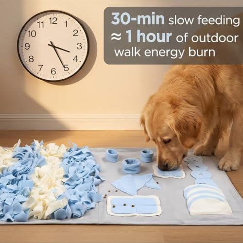 Snuffle Mat for Dogs: Slow Food Interactive Experience