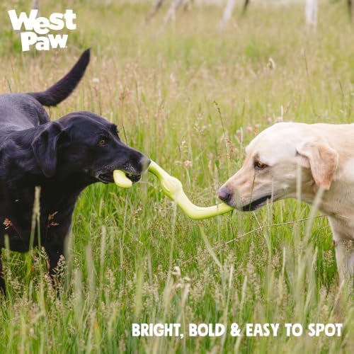 Zogoflex West Paw Design Bumi Dog Toy