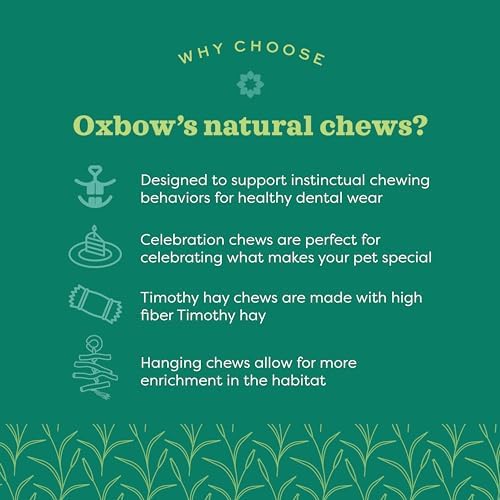 Oxbow Apple Stick Dangly, Rabbit & Guinea Pig Toy, Bunny Enrichment Chew