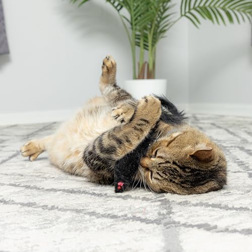 SPOT Shaggy Plush Ferret - Interactive Rattle and Catnip Fuzzy Toy for Indoor Cats and Kittens, Large Size Perfect for Pouncing, Chasing, Hunting, 11 Inches (Pack of 2)