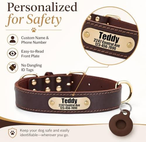 Personalized Genuine Leather Dog Collar with Name & Phone Number-Brown XS