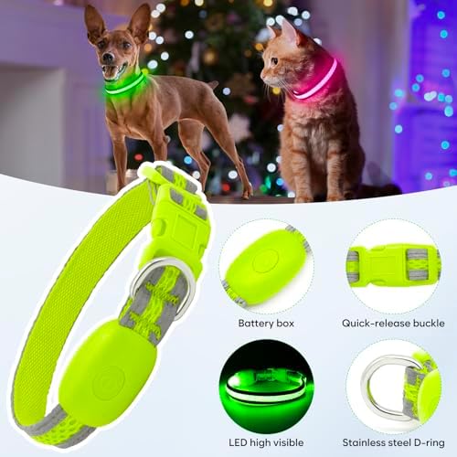 Flashseen LED Dog Collar, Light Up Dog Collar USB Rechargeable, Green, XS