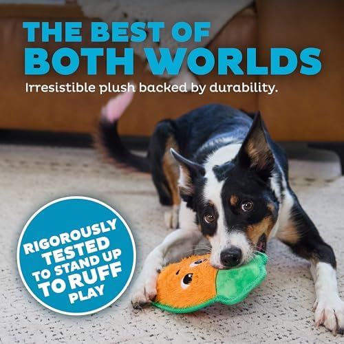 Outward Hound Tough Skinz Durable Chew Plush Squeaky Dog Toy, Carrot, 9.8"