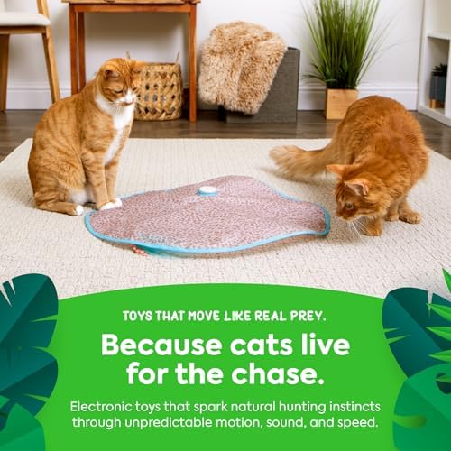 SmartyKat Hidden Hijinks Toy for Indoor Cats & Kittens, Electronic Interactive Motion Toy, Featuring Teaser Wand, Plus Replaceable Batteries Included