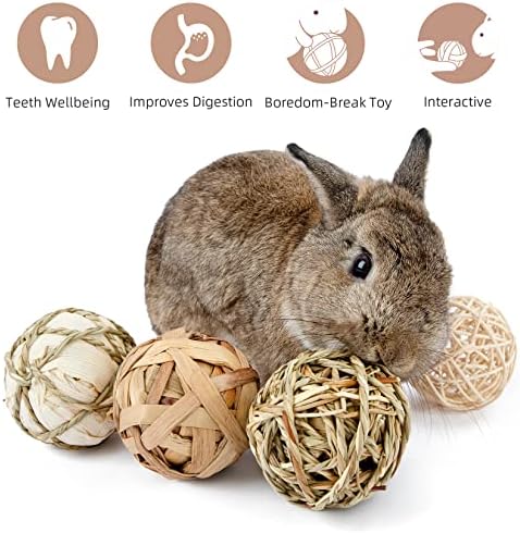 Niteangel Natural Chew Activity Toys: Meets Small Pet Chewing Needs & Mood