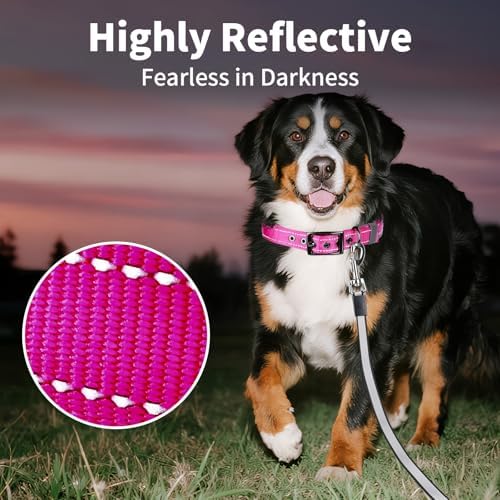 Segarty Reflective Pink Female Dog Collar for Neck 23-26.9in, Adjustable Wide Soft Comfortable Breathable Neoprene Padded Nylon Collar with Heavy Duty Metal Buckle for Extra Large Breed (XL, Hot Pink)