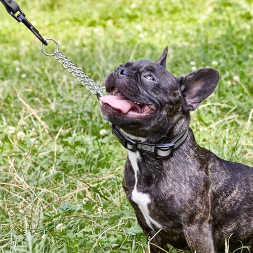 Dogline Reflective Martingale Collar for Dogs with Quick Release Buckle – Biothane Dog Collar with Herm Sprenger Assembly Chain – Waterproof No Pull Dog Collar, L 14”-20”, Black