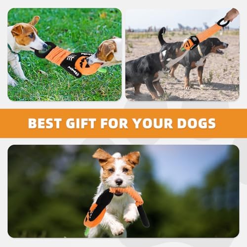 KOOLTAIL Halloween Dog Toys, Tough Plush Dog Chew & Squeaky Toys with Crinkle Paper, Interactive Training & Tug of War Puppy Teething Toy for Indoor Outdoor Play for Small Medium Large Dogs, Pumpkin