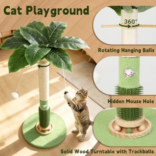 Cat Scratching Post,37.5'' Tall Palm Tree Sisal Scratcher for Indoor Cats