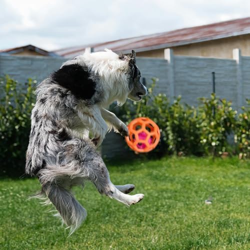 4pcs Dog & Cat Ball Toy Interactive Chasing Balls with Bell for Pet
