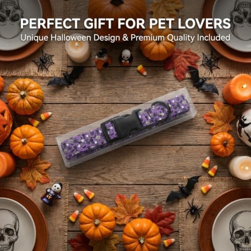 Halloween Dog Collar, Purple Puppy Collar for Medium Dogs, M
