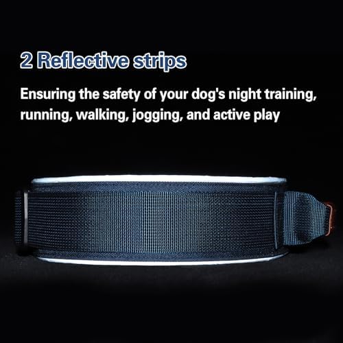 2" Tactical Dog Collar with Airtag Holder & Handle for Medium Dogs (Blue)