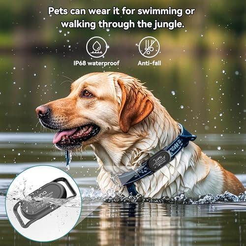 Personalized Dog Collar Holder(2 Pack) for Galaxy Smarttag2,Customized with Name and Phone Number for Pet Cat,Waterproof Silicone Protective Cover Case Accessory for Samsung Galaxy Smart tag2 (Black)