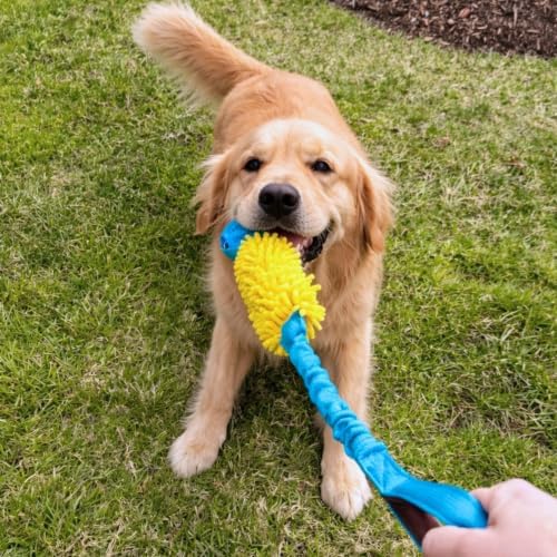 Gus & Goose Dog Tug Toy with Bungee, Comfort Handle, Plush Chew Section, Durable Rubber Ball, for Outdoor and Indoor Play, Blue and Yellow, for Medium and Large Dogs