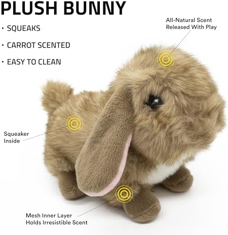 Playology Plush Bunny Dog Toy - Squeaky Dog Toy - Small, Carrot Scent