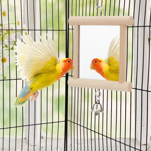 Hypeety Pet Bird Mirror with Bell Interactive Parrot Toy for Small Birds