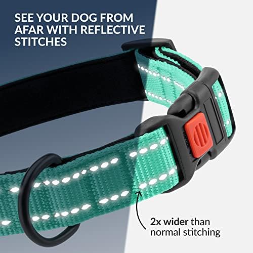 Reflective Dog Collar, Quick-Release Buckle (Mint Green, 10-13 Inch)