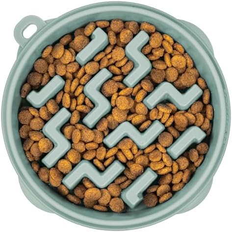 Outward Hound Fun Feeder Slo Bowl Dog Slow Feeder, Notch, Sage, 9.1", Medium (Pack of 12)