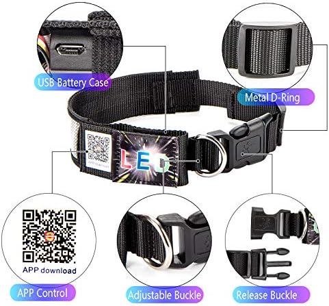 Leadleds Bluetooth LED Dog Collar, Flashing Light Up Rechargeable Pet Dog Safety Collar Glow in The Dark Light-up Neck Loop - Green LED