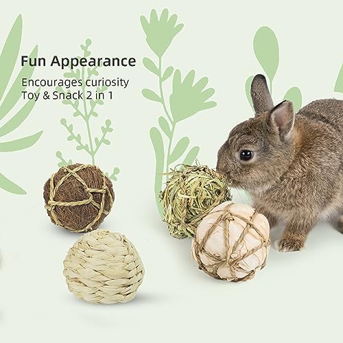 andwe Small Animals Play Balls Rolling Chew Toys, Pack of 4