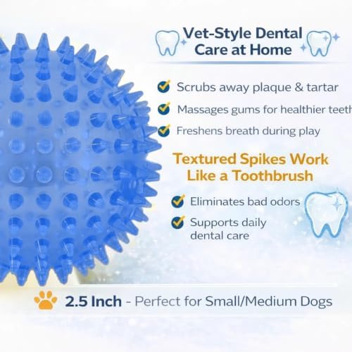 Squeaky Spiky Dog Balls for Teeth Cleaning & Gum Massage 2.5 Inch Small Medium Dogs Blue | Spiny TPR Rubber Chew Toys for Fetch Play Interactive Bouncy Dental Balls BPA Free Nontoxic Floats - 3 Pack