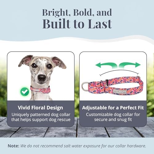 Lucky Love Dog Martingale Collar & Leash Set No Slip Cute – Rosie, Medium