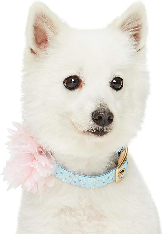 Blueberry Pet The Most Coveted Holo Glitter Dog Collar with Flower