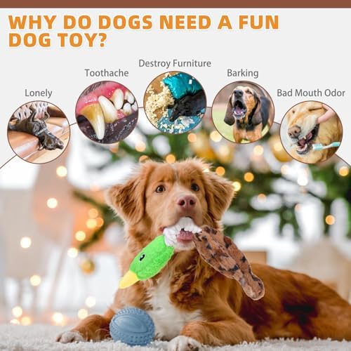 KOOLTAIL Duck Dog Toys, Tough Plush Dog Chew & Squeaky Toys with Crinkle Paper, Interactive Training & Tug of War Puppy Teething Toy for Indoor Outdoor Play, Soft Pet Toy for Small Medium Large Dogs
