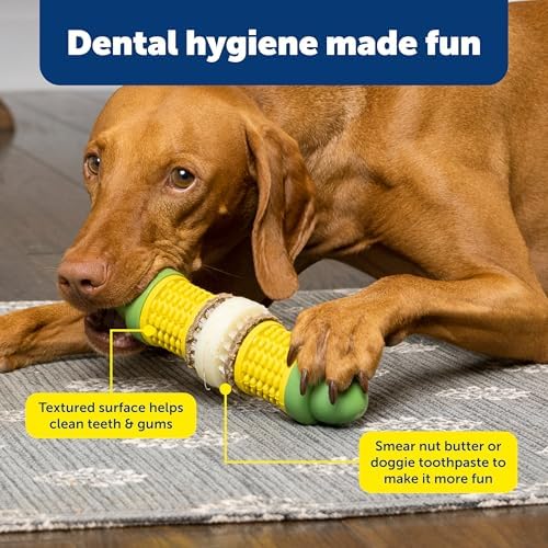 PetSafe Busy Buddy Cravin Corncob Treat Holding Dog Toy, Medium/Large