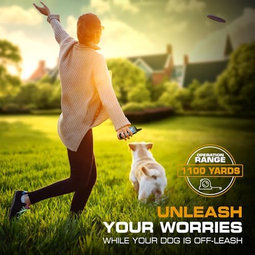 INVIROX Dog Training Collar with Remote, Shock Collar for Dogs 3300ft Range