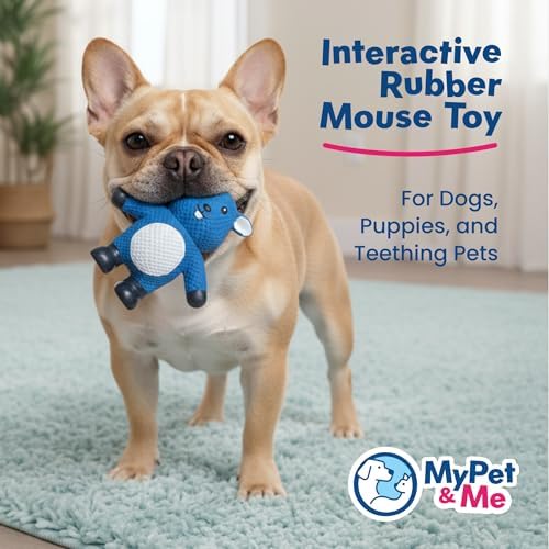 My Pet & Me Rubber Squeaky Dog Toys for Small Dogs and Puppies, Soft Latex Squeak Toy for Light to Moderate Chewers, Teething and Fetch Play with Squeaker (Blue Mouse, 4.3 Inch)