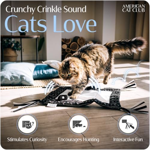 American Cat Club Reversible Crinkle Cat Mat with Mouse Toy, 18" x 13"