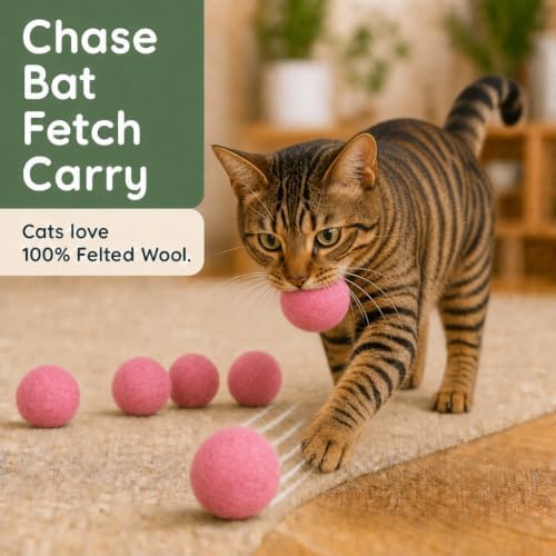 Wool Cat Toys - Silent Felt Balls for Small Pet Fetch and Play - Eco Friendly Quiet Wool Ball Toy for Cats and Kittens - Choose Your Colors - 6PCS Pink