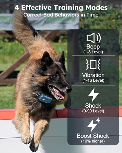 Dog Shock Collar 2 Dogs (10-120Lbs) - 4200FT Dog Training Collar with Remote IPX7 Waterproof Electric Collar with 4 Training Modes, Rechargeable e-Collar for Large Medium Small Dog Cyan Blue